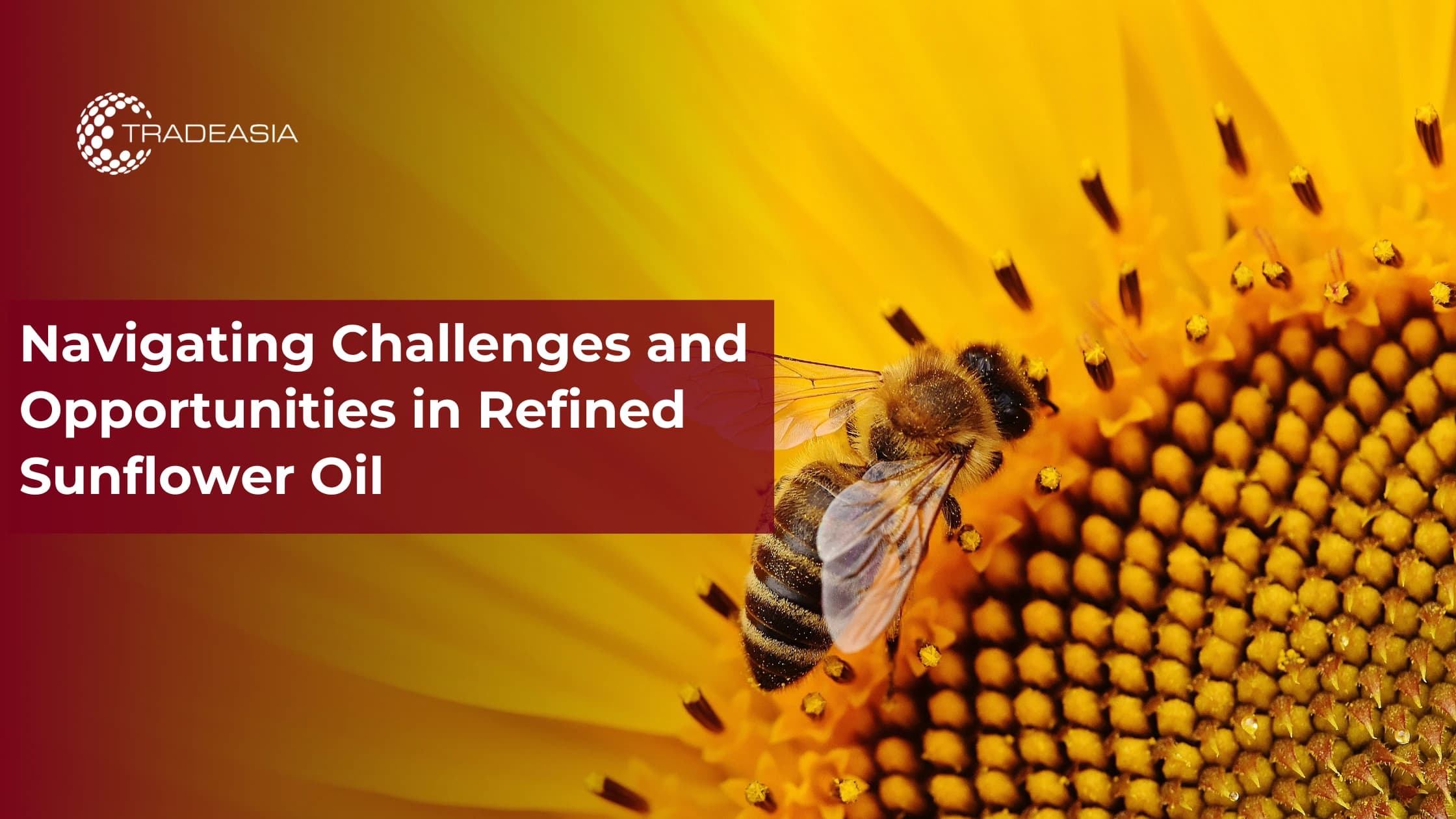 Afrontando los desafíos y las oportunidades del aceite de girasol refinado